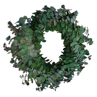 4A Green Preserved Baby Eucalyptus Wreath | Diameter 35 centimeter | Per wreath