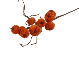 4A Oranje Pompoen op tak | Lengte 70 centimeter | Per tak