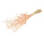 Salmon-coloured Curly Ting Ting dried flowers | Length ± 60 centimetres | Weight ± 100 grams