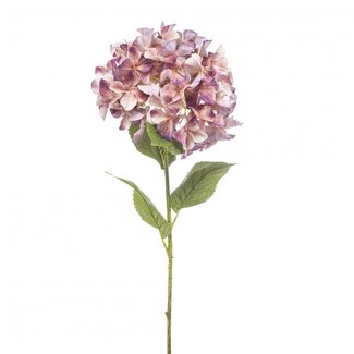 4A Hydrangea Kunstbloemen | Kleur: Lila | Kunst Hortensia | Lengte ± 90 centimeter | Per 2 takken