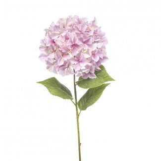 4A Light pink Hydrangea Artificial flowers | Artificial Hydrangea | Length ± 90 centimeter | Per 2 stems