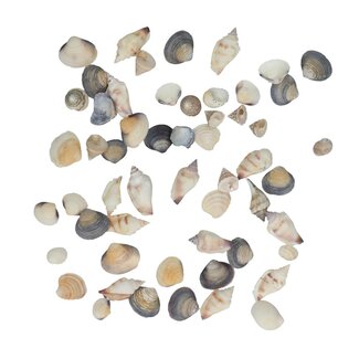 4A Mixed Shells Assortment in Mixed Colours | Contents 500 gram | Per bag shells