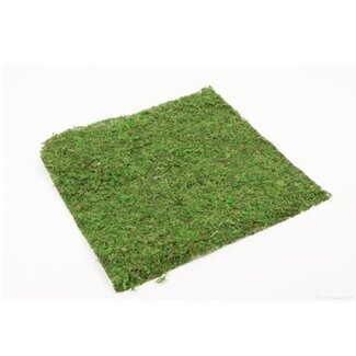 4A Gedroogde Mos Platen | Kleur: Groen | Lengte 38 centimeter | Breedte 38 centimeter | Per pak mos