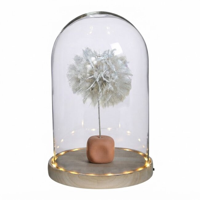 Puste Flower Preserved | Colour: White | Length ± 25 centimetre | Per stem | In Display Box