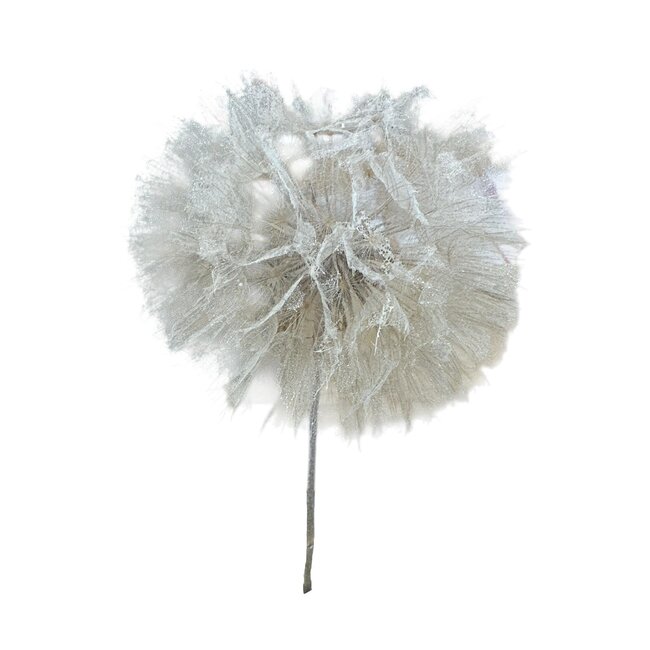 Puste Flower Preserved | Colour: White | Length ± 25 centimetre | Per stem | In Display Box