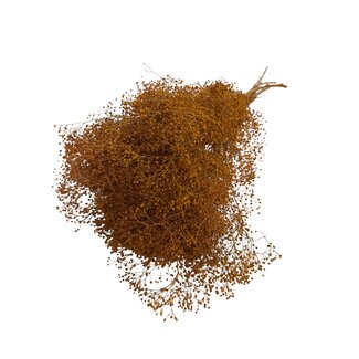 Casa Alegria Orange Preserved Gypsophila Mini | Baby's breath Dried flowers | Length ± 60 centimetre | Weight 100 gram | Per bunch