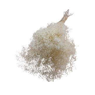 Casa Alegria White Bleached Preserved Gypsophila Mini | Baby's Breath Dried Flowers | Length ± 60 centimeter | Weight 100 gram | Per bunch