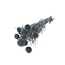 Gepreserveerde Echinops XL | Kleur: Zilverkleurig | Kogeldistel Droogbloemen | Lengte ± 60 centimeter | Gewicht 250 gram | 10 stelen per bos | Per bos