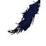 Gepreserveerde Amaranthus Caudatus | Kleur: Donkerblauw | Kattenstaartamarant Droogbloemen | Lengte ± 65 centimeter | Gewicht 125 gram | Per bos