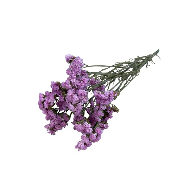 Gedroogde Statice Sinuata | Kleur: Roze | Statice Droogbloemen | Lengte ± 70 centimeter | Gewicht 75 gram | Per bos