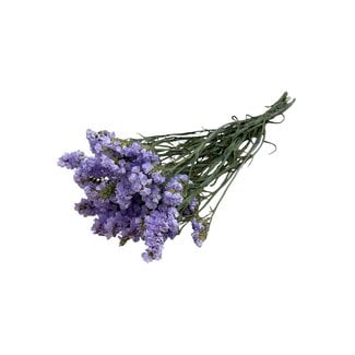 Dutch Dried Gedroogde Statice Sinuata | Kleur: Milkapaars | Statice Droogbloemen | Lengte ± 70 centimeter | Gewicht 75 gram | Per bos