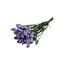 Gedroogde Statice Sinuata | Kleur: Milkapaars | Statice Droogbloemen | Lengte ± 70 centimeter | Gewicht 75 gram | Per bos