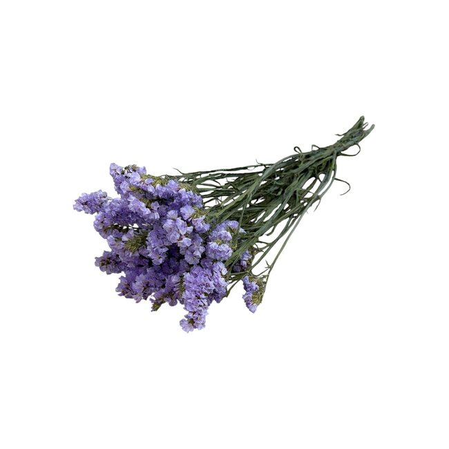 Gedroogde Statice Sinuata | Kleur: Milkapaars | Statice Droogbloemen | Lengte ± 70 centimeter | Gewicht 75 gram | Per bos