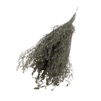 Casa Alegria Gedroogde Lepidium | Kleur: Natuurlijk Groen | Peperkers Droogbloemen | Lengte ± 60 centimeter | Gewicht 75 gram | Per bos