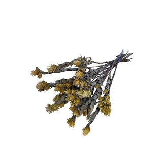 Casa Alegria Gedroogde Maracumba Passiflora | Kleur: Naturel | Maracuba Droogbloemen | Lengte ± 30 centimeter | Gewicht 100 gram | Per bos
