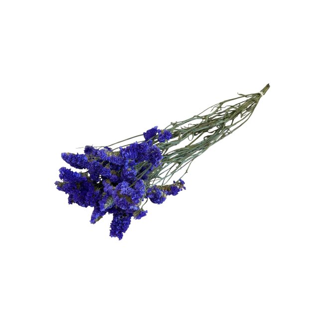 Purple-blue Dried Statice Sinuata | Statice Dried Flowers | Length ± 70 centimeter | Weight 75 gram | Per bunch