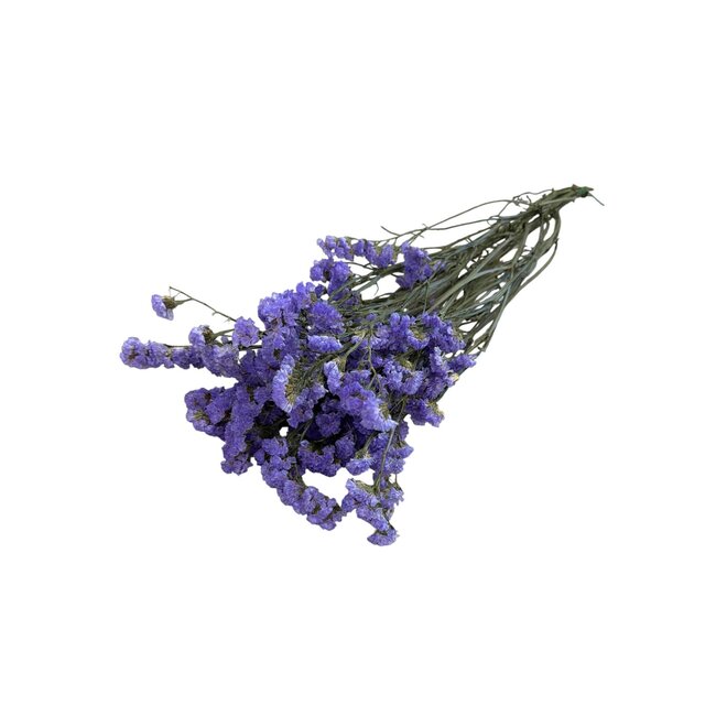 Lilac Dried Statice Sinuata | Statice Dried Flowers | Length ± 70 centimetre | Weight 75 gram | Per bunch