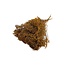 Dark orange Dried Broom Bloom | Length ± 55 centimetre | Broom Dried Flowers | Weight 125 gram | Per bunch