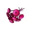 Fuchsia Dried Protea Compacta | Sugarbush Dried flowers | Length ± 30 centimeter | 10 stems per bunch | Per bunch