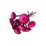Gedroogde Protea Compacta | Kleur: Fuchsia | Suikerbos Droogbloemen | Lengte ± 30 centimeter | 10 stelen per bos | Per bos