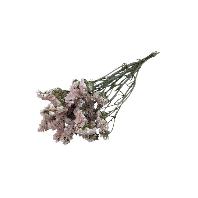 Light pink Dried Statice Sinuata | Statice Dried Flowers | Length ± 70 centimeter | Weight 75 gram | Per bunch