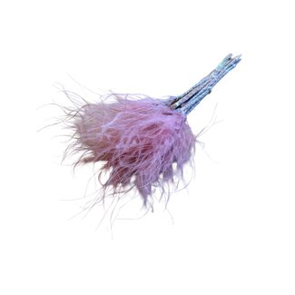 Casa Alegria Gedroogd Stipa Vedergras | Kleur: Roze | Stypha Penata Droogbloemen | Lengte ± 50 centimeter | Gewicht 50 gram | Per bos