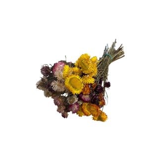 Casa Alegria Gedroogde Helichrysum | Kleur: Gemengde Kleuren | Strobloem Droogbloemen | Lengte ± 50 centimeter | Gewicht 100 gram | Per bos