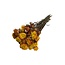 Natuurlijk Oranje Gedroogde Helichrysum | Strobloem Droogbloemen | Lengte ± 50 centimeter | Gewicht 100 gram | Per bos