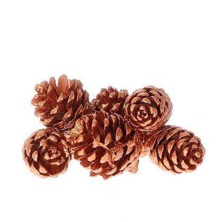 4A Dennenappels Pinus Pinea | Kleur: Koperkleurig | Kerst Decoratie | Diameter 7 centimeter | Per 8 dennenappels
