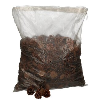 4A Oostenrijker Dennenappels | Kleur: Bruin | Kerst Decoratie | Gewicht 5 kilo | Per doos