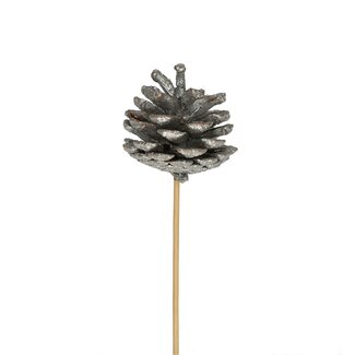 4A Silver-coloured Pinecone on stick | Christmas Decoration | Pinecone diameter 6 centimeter | Pick length ± 50 centimeter | Per 25 picks