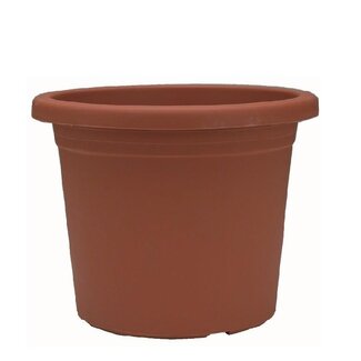 4A Terracotta Plastic Flower Pot Plant Pot “Botanico“ | Diameter 20 centimetre | Height 18 centimetre | Per 12 Flower Pots
