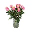 Frische rosa-creme Rosen "Mai Tai Pink Creamy" | ↕ 60 cm | Ø 5.5 pro Rose | Pro 10 Rosen