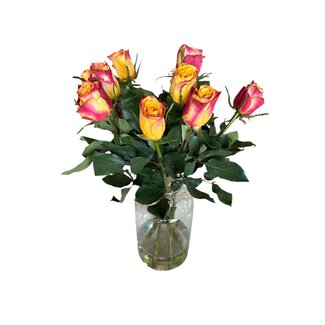 Freshy Frische rot-orange Rosen "Wild Fox Orange Red" | ↕ 60cm | Ø 5.5 cm pro Rose | Pro 10 Rosen