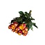 Frische rot-orange Rosen "Wild Fox Orange Red" | ↕ 60cm | Ø 5.5 cm pro Rose | Pro 10 Rosen
