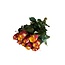 Frische rot-orange Rosen "Wild Fox Orange Red" | ↕ 60cm | Ø 5.5 cm pro Rose | Pro 10 Rosen