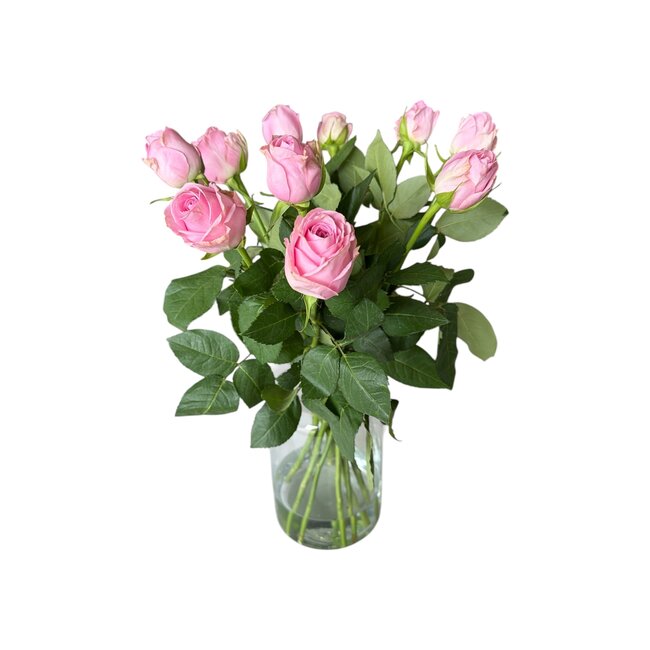 Frische rosa Rosen "Heidi Violet Pink" | ↕ 60cm | Ø 5.5 cm pro Rose | Pro 10 Rosen