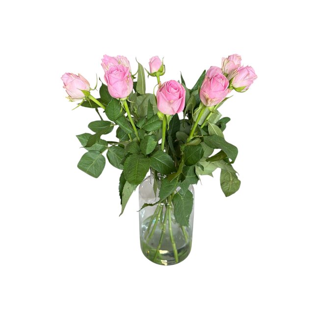 Frische rosa Rosen "Heidi Violet Pink" | ↕ 60cm | Ø 5.5 cm pro Rose | Pro 10 Rosen