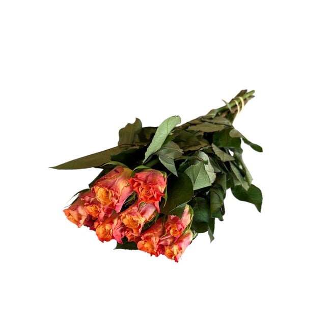 Fresh orange roses "Maryo Orange"| ↕ 60cm | Ø 5.5 per rose | Per 10 roses