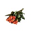 Fresh orange roses "Maryo Orange"| ↕ 60cm | Ø 5.5 per rose | Per 10 roses