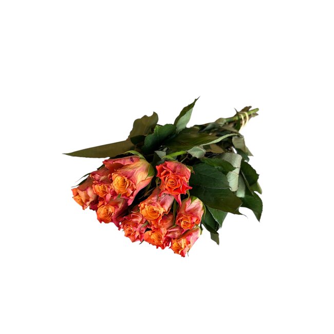 Fresh orange roses "Maryo Orange"| ↕ 60cm | Ø 5.5 per rose | Per 10 roses