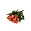 Fresh orange roses "Maryo Orange"| ↕ 60cm | Ø 5.5 per rose | Per 10 roses