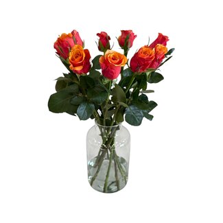 Freshy Fresh red-orange roses "Espana Orange Red" | ↕ 60cm | Ø 4.5 cm per rose | Per 10 roses