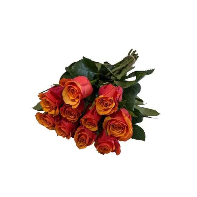 Fresh red-orange roses "Espana Orange Red" | ↕ 60cm | Ø 4.5 cm per rose | Per 10 roses