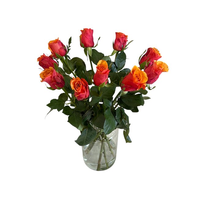 Fresh red-orange roses "Espana Orange Red" | ↕ 60cm | Ø 4.5 cm per rose | Per 10 roses