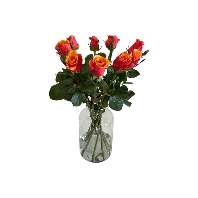 Fresh red-orange roses "Espana Orange Red" | ↕ 60cm | Ø 4.5 cm per rose | Per 10 roses