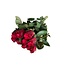 Fresh red roses "Tacazzi Vibrant Red"| ↕ 60 cm | Ø 5.5 cm per rose | Per 10 roses