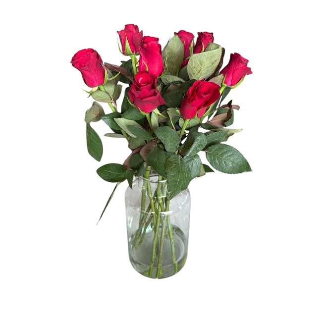 Fresh red roses "Tacazzi Vibrant Red"| ↕ 60 cm | Ø 5.5 cm per rose | Per 10 roses