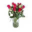 Fresh red roses "Tacazzi Vibrant Red"| ↕ 60 cm | Ø 5.5 cm per rose | Per 10 roses