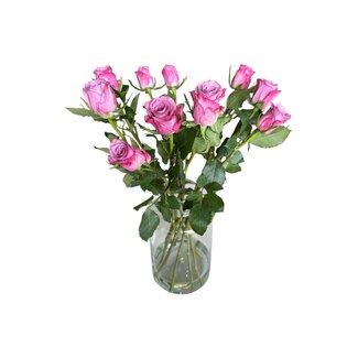 Freshy Fresh purple roses "Deep Purple" | ↕ 60cm | Ø 5.5 cm per rose | Per 10 roses